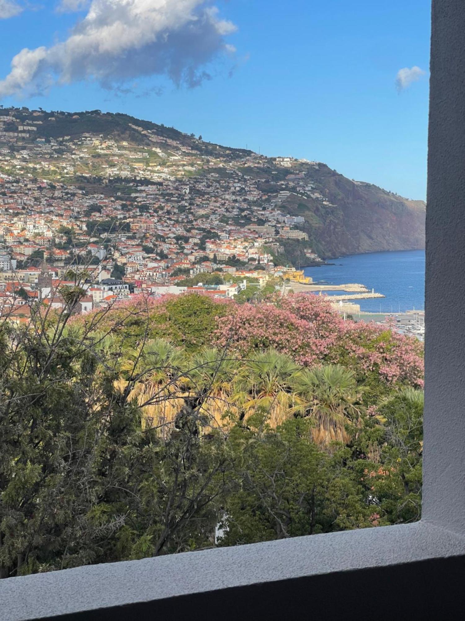 In Town View Apartment Funchal  Exterior foto