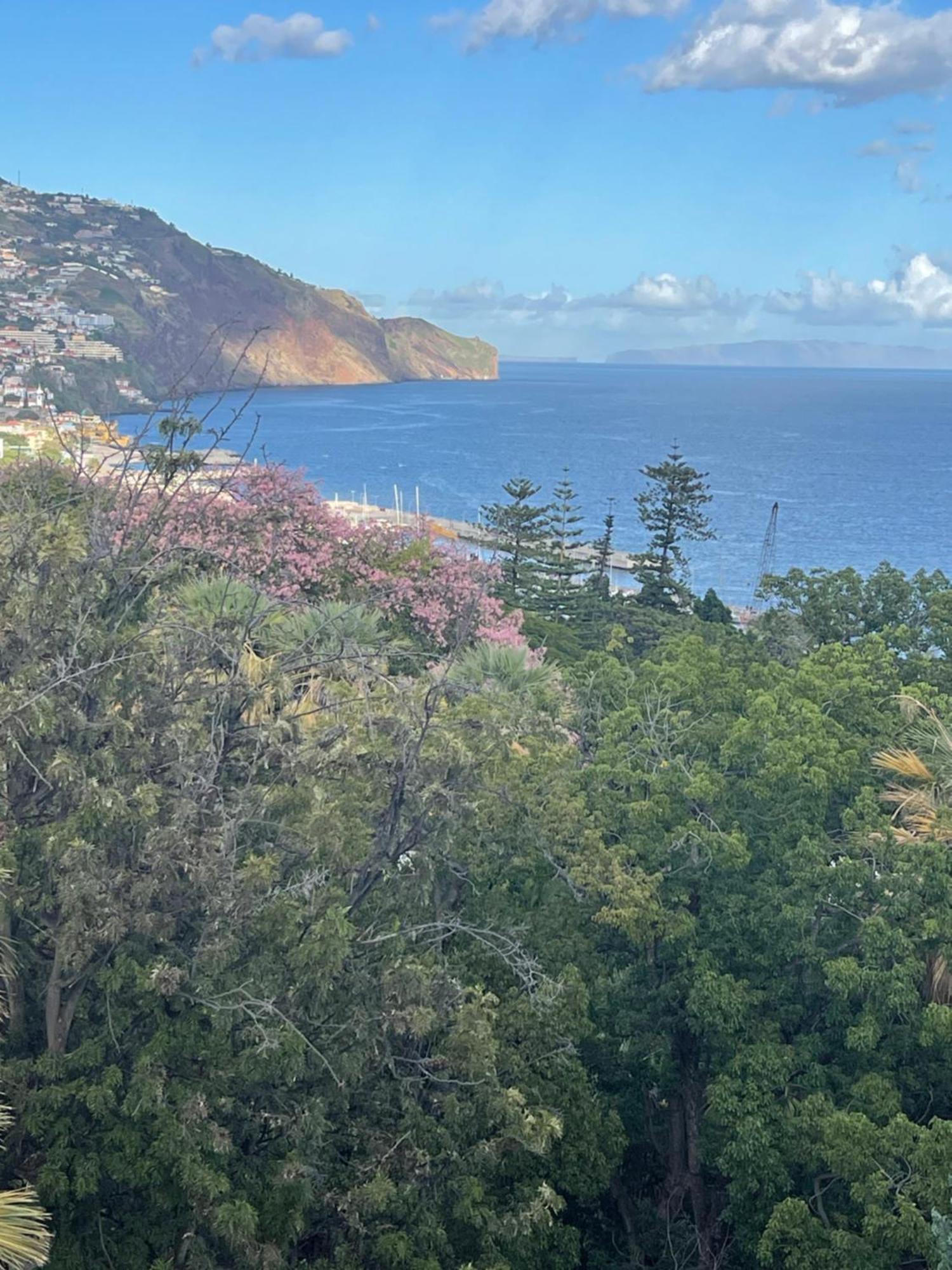 In Town View Apartment Funchal  Exterior foto